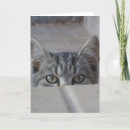 Search for cat valentine invitations Animals