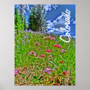 Search for colorado spring art Scenic