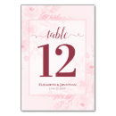 Search for pastel numbers table table cards Elegant script calligraphy