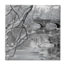 Search for bridge tiles Snow