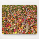Search for yellow leafs mousepads Fall