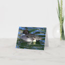 Search for swimming thank you cards Duck