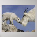 Search for interaction posters Nobody