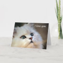 Search for work animal cards Nature