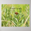 Search for monarch butterfly posters Nature