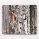 Search for woodpecker mousepads Bark
