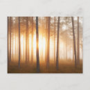 Search for trunk cards Autumn