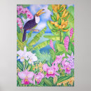 Search for amazons posters Jungle