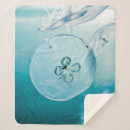 Search for metroid Retro