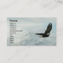 Search for bald business cards Bird