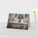 Search for chihuahua birthday cards Funny