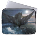 Search for pegasus electronics Beautiful