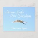 Search for egrets postcards Lake