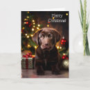 Search for chocolate labrador cards Animal