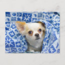 Search for cosy postcards Blue