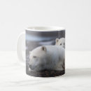 Search for baby polar bear mugs Arctic