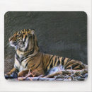Search for sumatran mousepads Wildlife