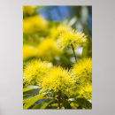 Search for queensland art Colorful