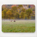 Search for grazing mousepads Wildlife