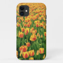 Search for old barn iphone cases Country