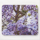 Search for wisteria mousepads Blossom