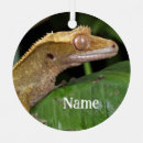 Search for lizard christmas tree decorations Wildlife