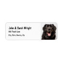 Search for newfoundland return address labels Pet