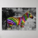 Search for rainbow zebra posters Lgbt