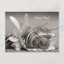 Search for snails postcards Snail mail