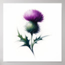 Search for scottish thistle posters Nature