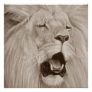 Search for big cat posters Wild animals