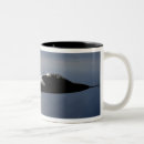 Search for f 22 raptor mugs Flying