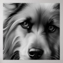 Search for white terrier posters Black and white