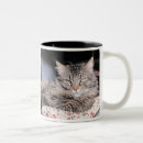 Search for shame mugs Cat