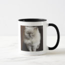 Search for himalayan cat mugs Feline