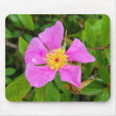 Search for dew mousepads Flower