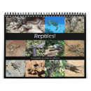 Search for reptile calendars Snake