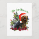 Search for yorkie lover postcards Dog