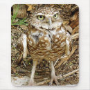 Search for owl feather mousepads Animal