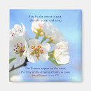 Search for king solomon magnets Bible