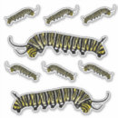 Search for monarch butterfly caterpillar stickers Cute