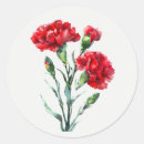 Search for red carnation stickers Garden