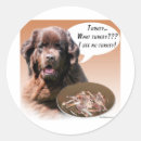 Search for newfies stickers Dog