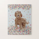 Search for labradoodle puzzles Poodle