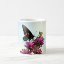 Search for beautiful butterflies mugs Nature
