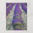 Search for panoramic vertical postcards Travel