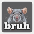 Search for rodent stickers Pet rat