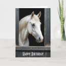 Search for white stallion cards Equestrian