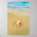 Search for beautiful beach scene posters Nature