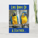 Search for parrots valentines day cards Sweetheart